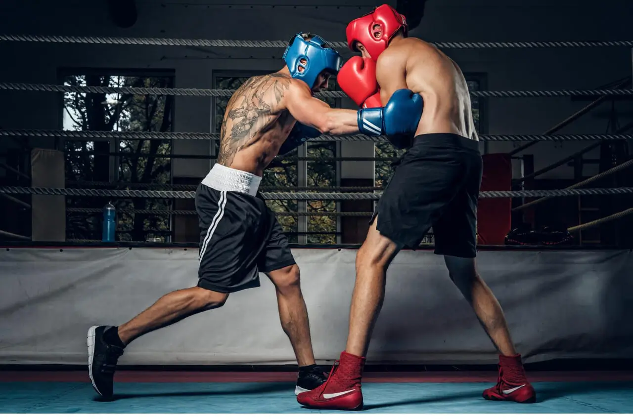 newshash-lite-image-6